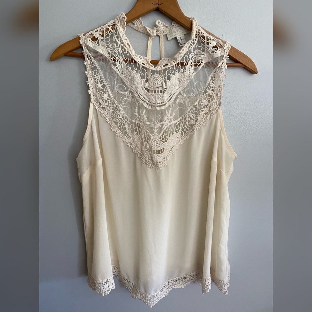 Forever 21 sheer top with lace detail.